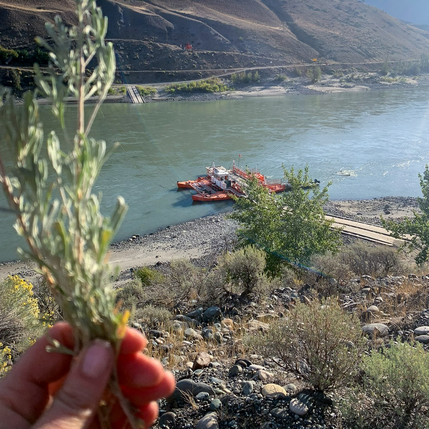 View of the Big Bar Ferry crossing the Fraser River in the Chilcotin region of British Columbia.